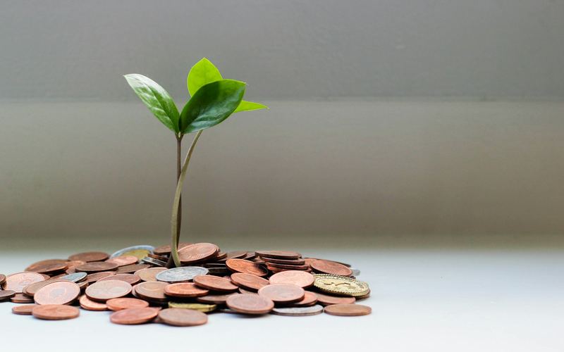 Cây xanh nhỏ bên trên những đồng xu tượng trưng cho tích lũy lâu dài