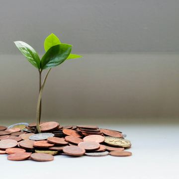 Cây xanh nhỏ bên trên những đồng xu tượng trưng cho tích lũy lâu dài